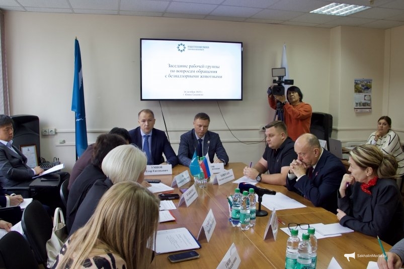 Встреча в Общественной палате Сахалинской области по вопросу безнадзорных животных ИА SakhalinMedia