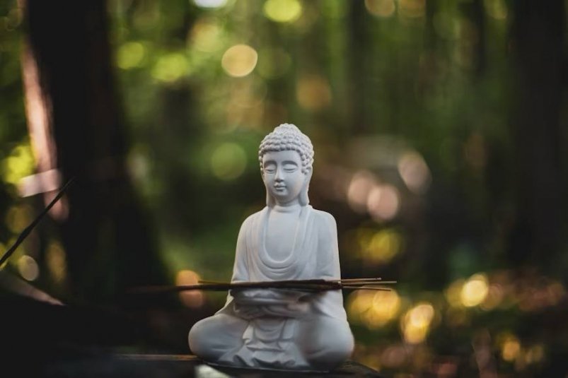 Тематическое фото unsplash.com