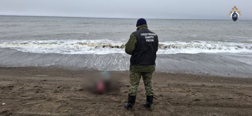 Мертвого мужчину нашли на берегу моря в Поронайском районе пресс-служба СУ СК РФ по Сахалинской области