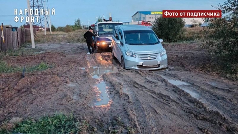 Дорога тг-канал (18+) Народного фронта