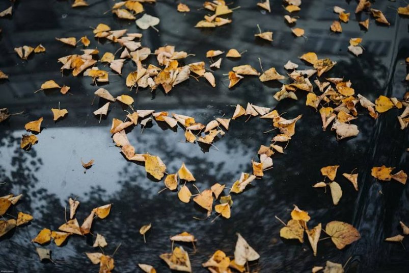 Тематическое фото unsplash.com