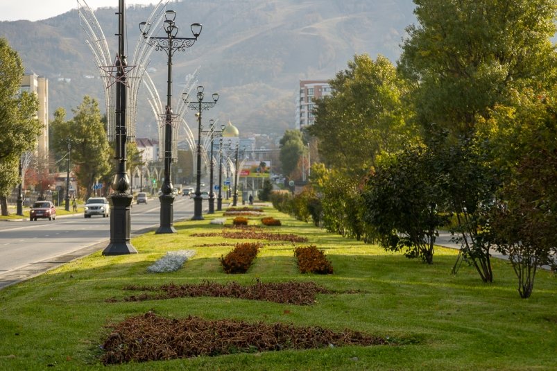 В "зимнюю спячку" уходят зеленые насаждения в общественных местах Южно-Сахалинска пресс-служба мэрии города