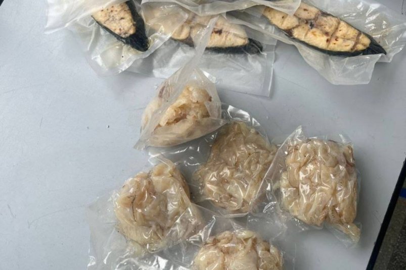 3 кг мяса медуз обнаружили иркутские таможенники в багаже пассажира из Ханоя Пресс-служба ведомства