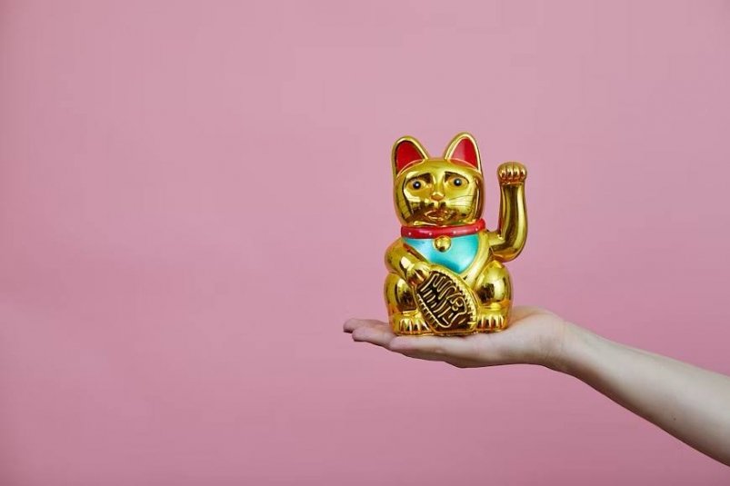 Тематическое фото unsplash.com