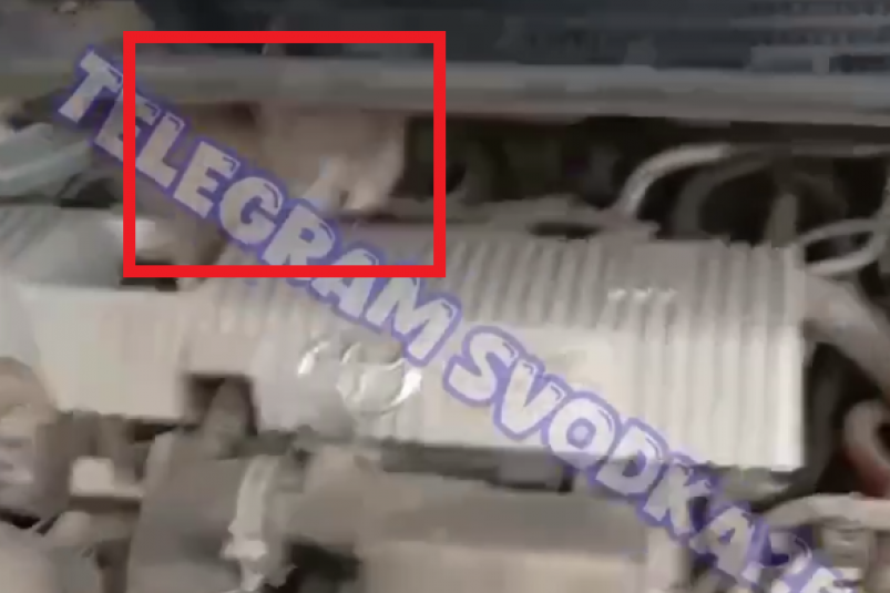 Скриншот тг-канал &quotsvodka25" (18+)