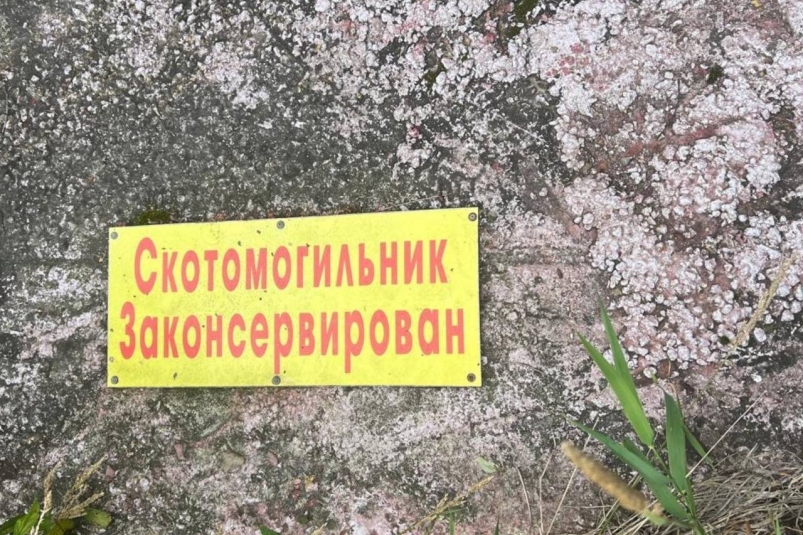 скотомогильник Пресс-служба прокуратуры Камчатского края