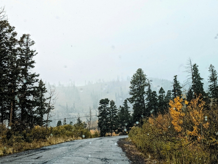 Дождь, мокрый снег и ветер unsplash.com