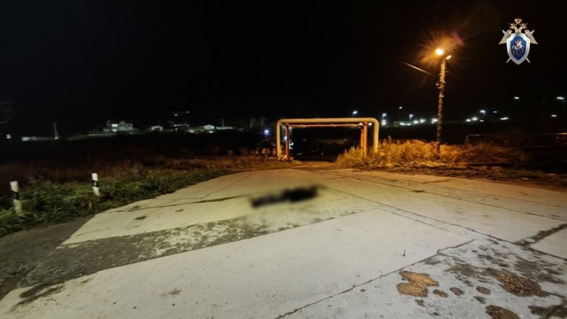 Тело пенсионера обнаружили возле одного из домов в Невельске пресс-служба СУ СК России по Сахалинской области