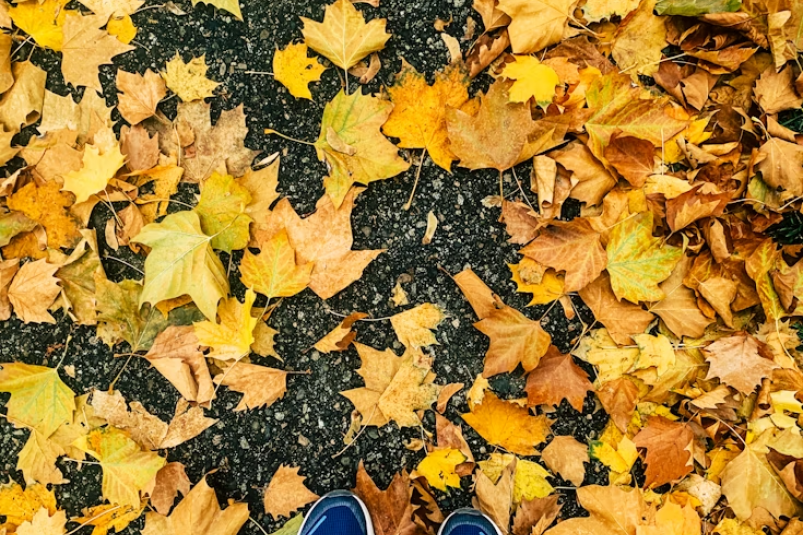 Фитнес, осень, прогулка unsplash.com