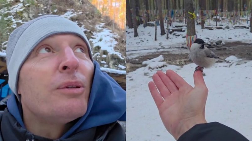 "Очень красиво, невероятно": Павел Воля остался в восторге от Аршана Тг-канал (18+) Павла Воли