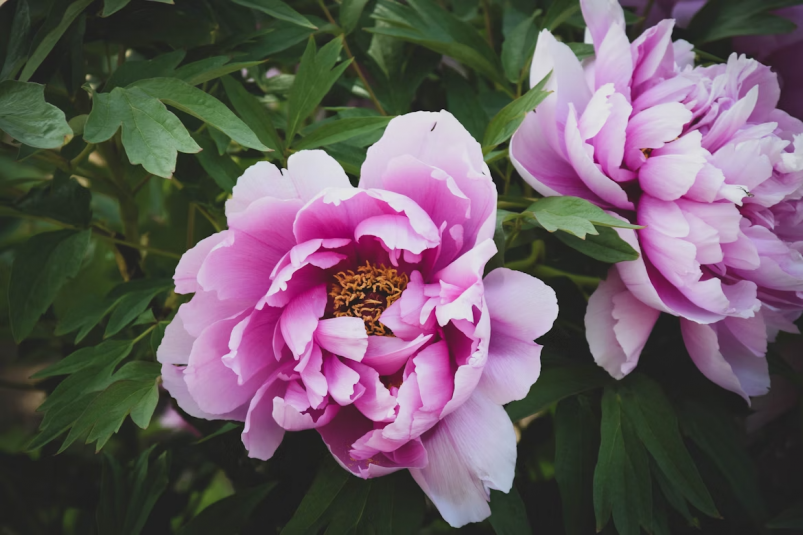 Тематическое фото unsplash.com