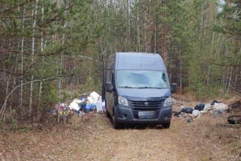 Организатор стихийной свалки в лесу в Братском районе попал в фотоловушку Пресс-служба правительства Иркутской области