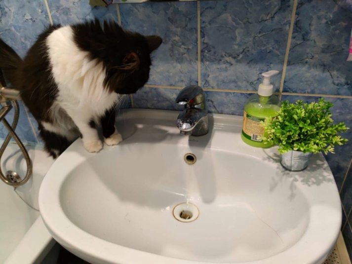 Тематическое фото ИА StolicaMedia Тематическое фото ИА StolicaMedia