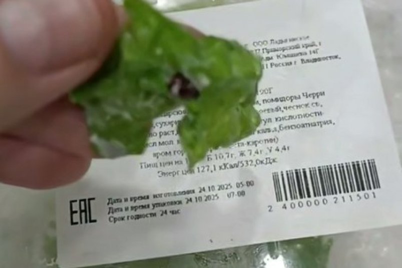 Скрин из видео t.me/NBS24