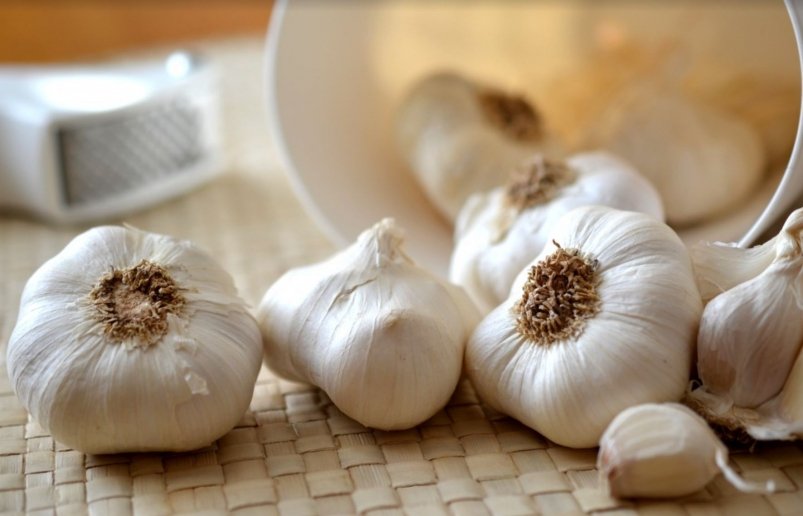 Тематическое фото pxhere.com Тематическое фото pxhere.com