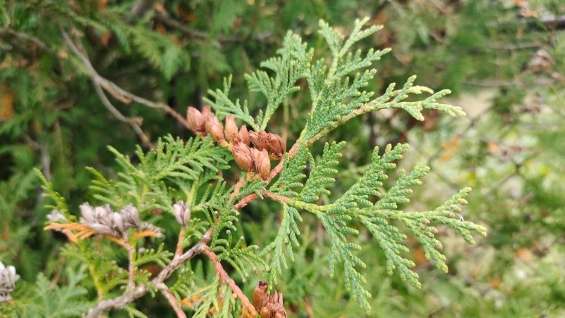 Фото автора автора Фото автора автора