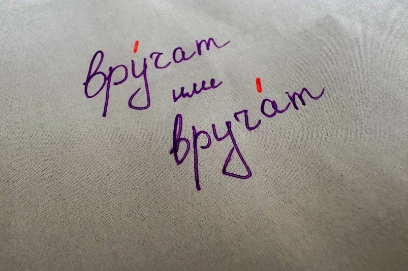 Даже отличники путают ударения в 10 словах - а вы скажете правильно? ИА Stavropol.Media Даже отличники путают ударения в 10 словах - а вы скажете правильно? ИА Stavropol.Media