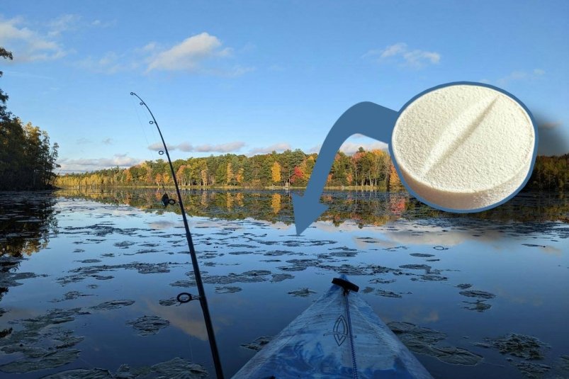 3 таблетки на дно - и соберется вся рыба водоема: улов на каждый заброс Daniel Craemer/unsplash и ИА StolicaMedia 3 таблетки на дно - и соберется вся рыба водоема: улов на каждый заброс Daniel Craemer/unsplash и ИА StolicaMedia