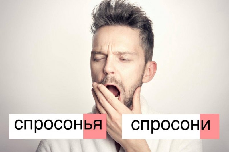 Валятся даже великие филологи - самое коварное слово русского языка Sander Sammy/unsplash и ИА Stavropol.Media