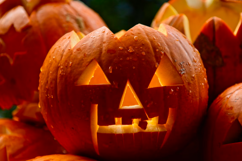 Тематическое фото Unsplash.com (18+) Тематическое фото Unsplash.com (18+)