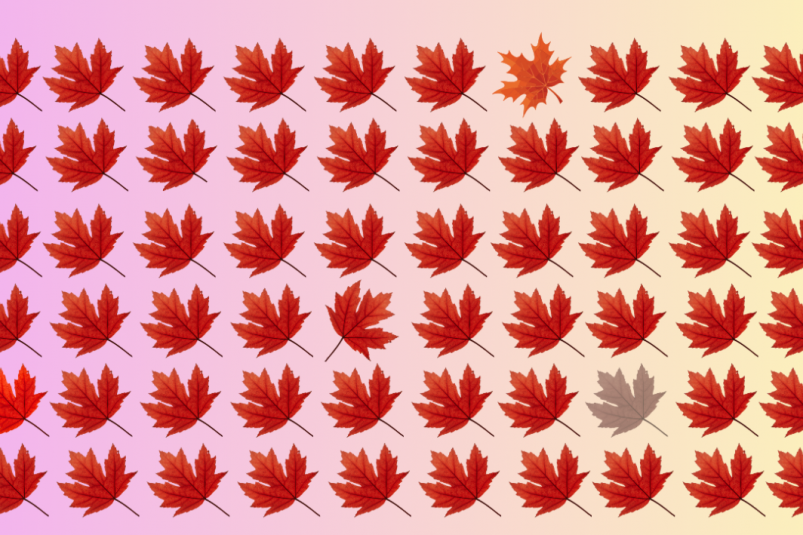 Тематическое фото ИА EAOMedia