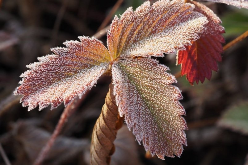 Тематическое фото Unsplash.com Тематическое фото Unsplash.com