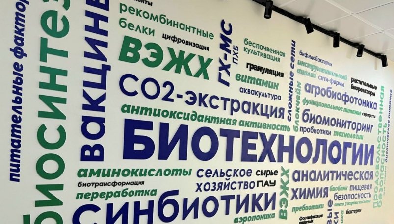 Тематическое фото пресс-служба ДВФУ Тематическое фото пресс-служба ДВФУ