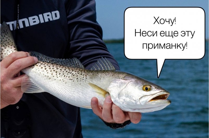 2 ложки к прикормке: и жирные карасики клюют без остановки: секрет уловистой приманки для осени cody reed / unsplash и ИА Stavropol.Media