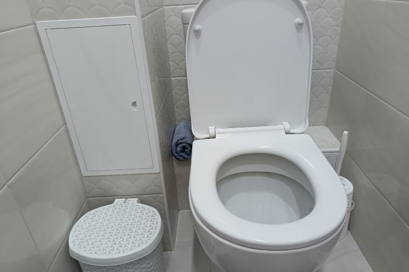 Добавляю 50 г порошка и иду спать – наутро унитаз блестит, как звездное небо: 100% способ ИА StavropolMedia