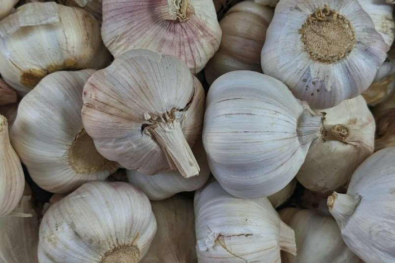 Тематическое фото unsplash Тематическое фото unsplash