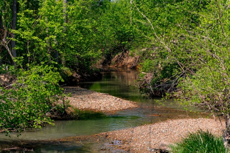 Ручей Илья Аверьянов, ИА PrimaMedia.ru Ручей Илья Аверьянов, ИА PrimaMedia.ru