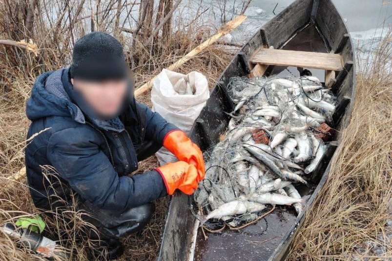 В Бурятии у браконьера изъяли более 230 особей омуля МВД по Бурятии В Бурятии у браконьера изъяли более 230 особей омуля МВД по Бурятии