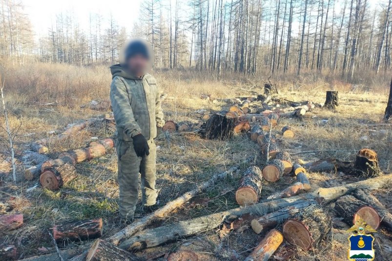 Жителя Бурятии задержали за незаконную заготовку дров МВД по Бурятии