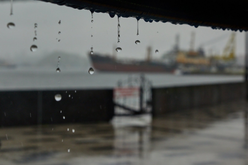 Тематическая фото Дмитрий Осипчук, ИА PrimaMedia