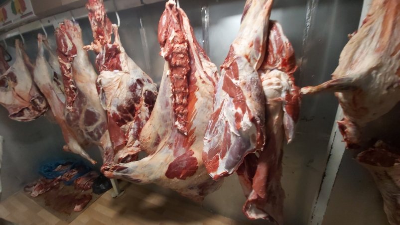 . пресс-служба управления Россельхознадзора по Красноярскому краю . пресс-служба управления Россельхознадзора по Красноярскому краю