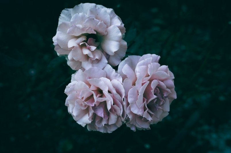 Тематическое фото Unsplash.com