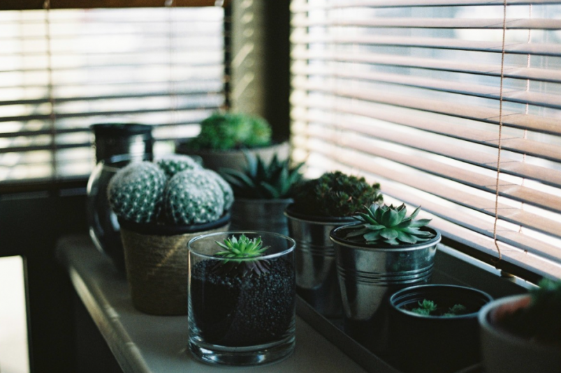 Тематическое фото pxhere.com