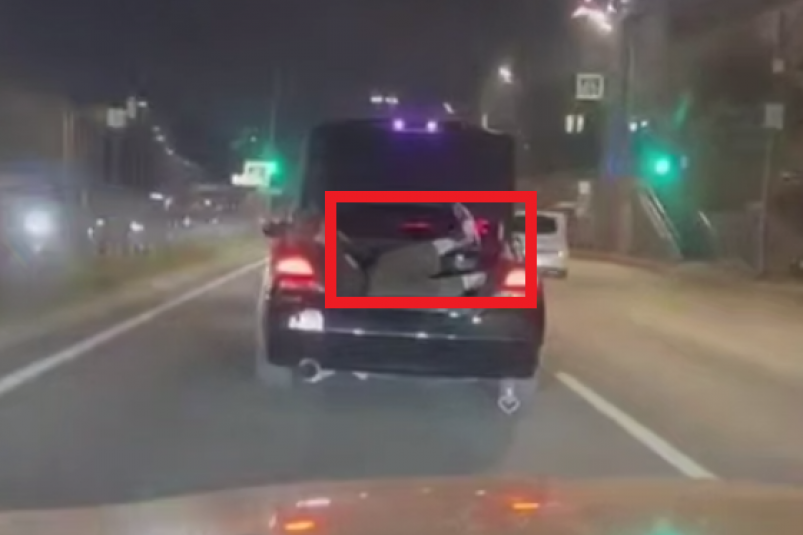 Скриншот тг-канал &quotVladivostok_dps" (18+)