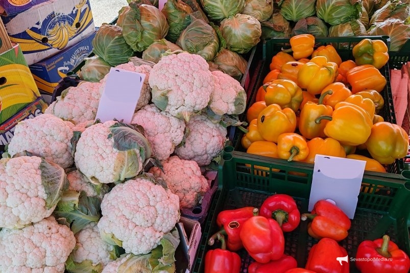 Тематическое фото ИА SevastopolMedia Тематическое фото ИА SevastopolMedia