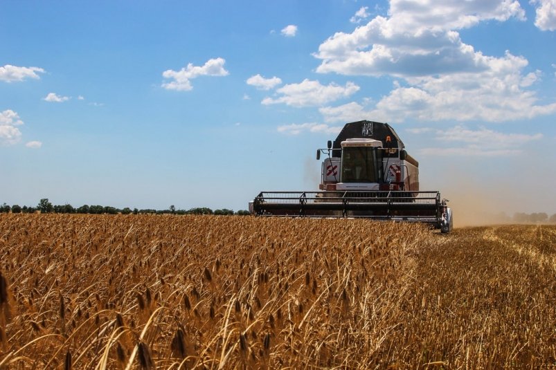 Уборка зерновых в Крыму Соцсети главы Крыма Сергея Аксенова Уборка зерновых в Крыму Соцсети главы Крыма Сергея Аксенова