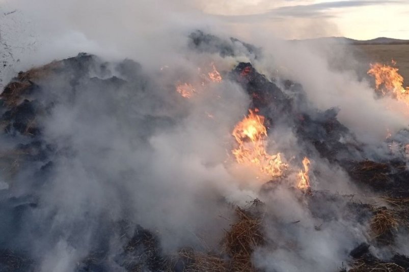 Горящее сено тг-канал (18+) ГУ МЧС по Забайкалью Горящее сено тг-канал (18+) ГУ МЧС по Забайкалью