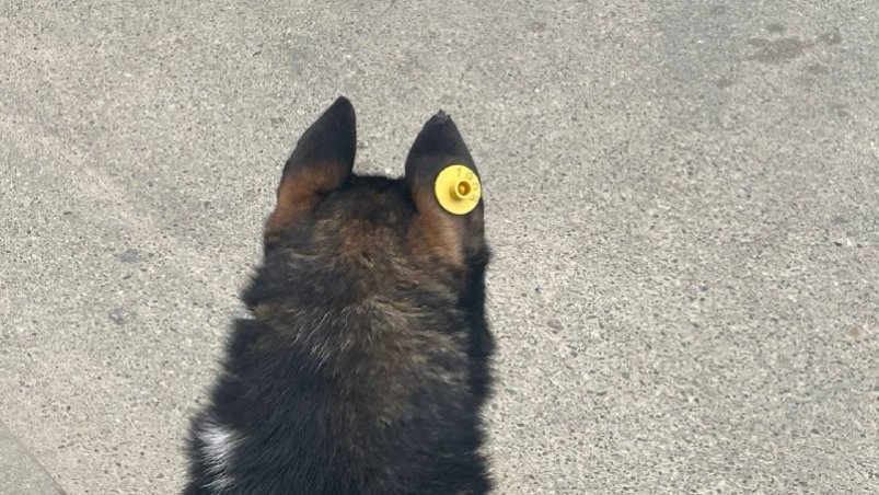 Тематическое фото ИА Stavropol.Media Тематическое фото ИА Stavropol.Media