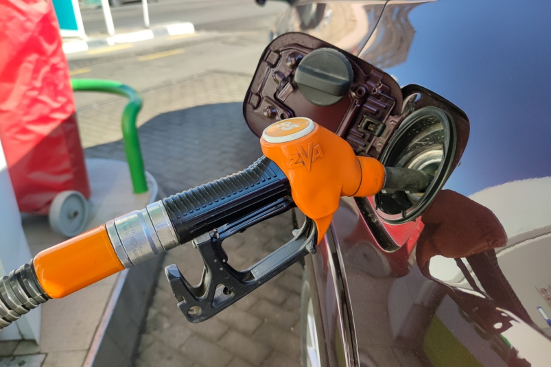 Тематическое фото Илья Аверьянов, ИА PrimaMedia Тематическое фото Илья Аверьянов, ИА PrimaMedia