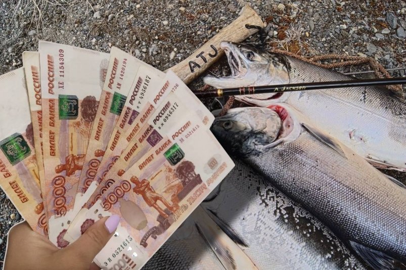 За такой улов рыбаков начнут штрафовать с 3 ноября - нормы по регионам pxhere.com и ИА StolicaMedia