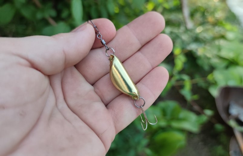 Блесна - в далеком прошлом: беру обычную крышку и ловлю по 9 кг рыбы дзен-канал "Сделай Самоделку" (12+)