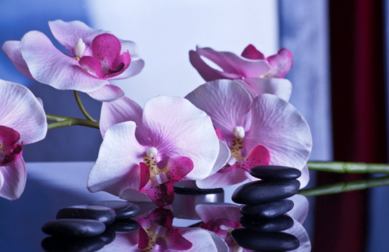 Тематическое фото pxhere.com