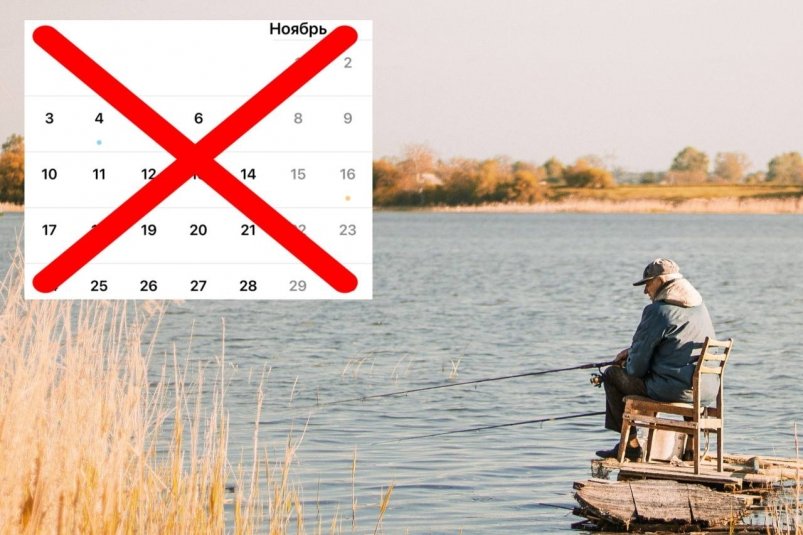 Не берите удочку зря: в эти дни ноября клёва не будет совсем: даже малька не выловить Nastia Petruk / unsplash и ИА Stavropol.Media