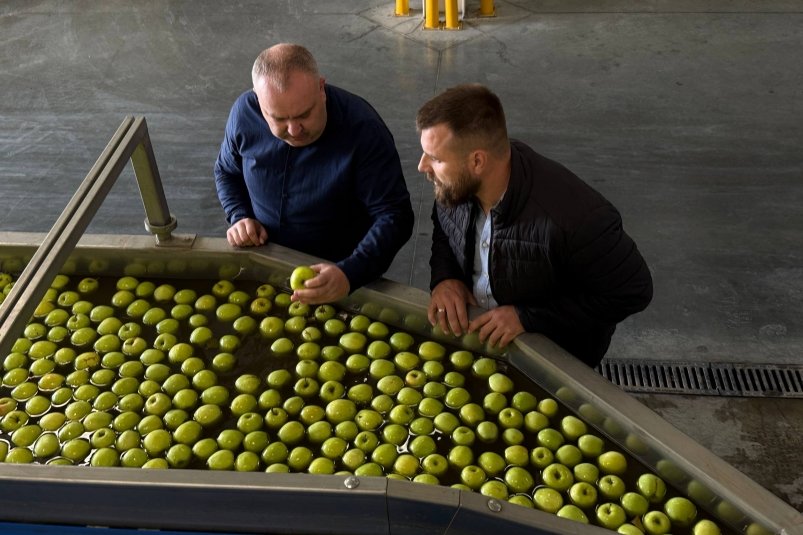 Министр сельского хозяйства РК Денис Кратюк (слева) Соцсети Минсельхоза РК
