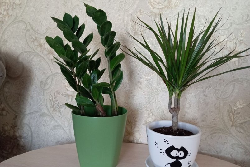 Фото автора автора Фото автора автора