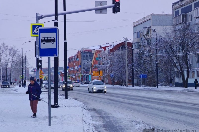 Снежный циклон добавит порцию осадков 1 ноября Юлия Ожегова, ИА PriamurMedia